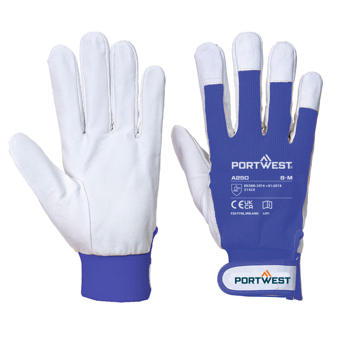Tergsus Handschuh