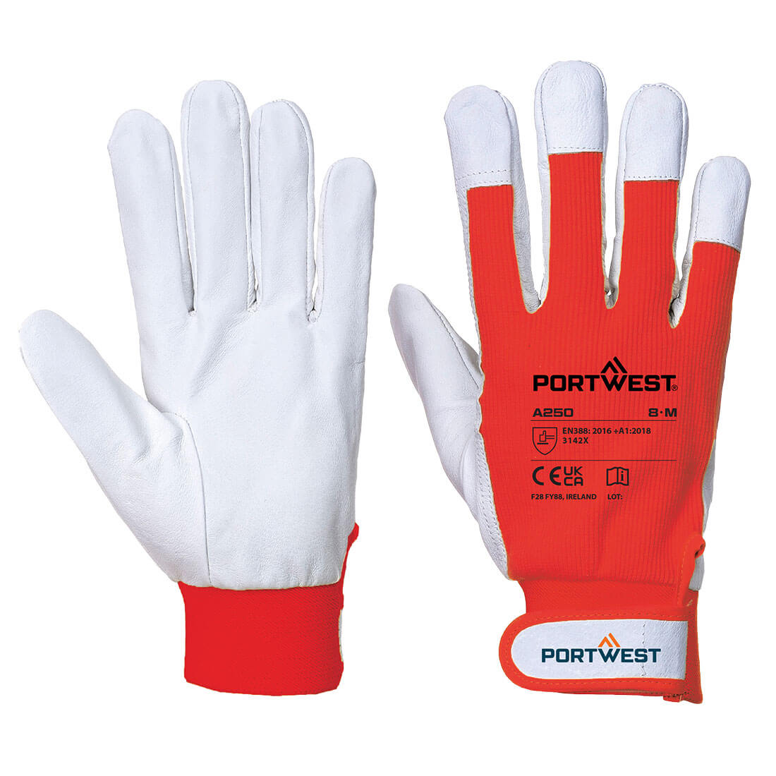 Tergsus Handschuh