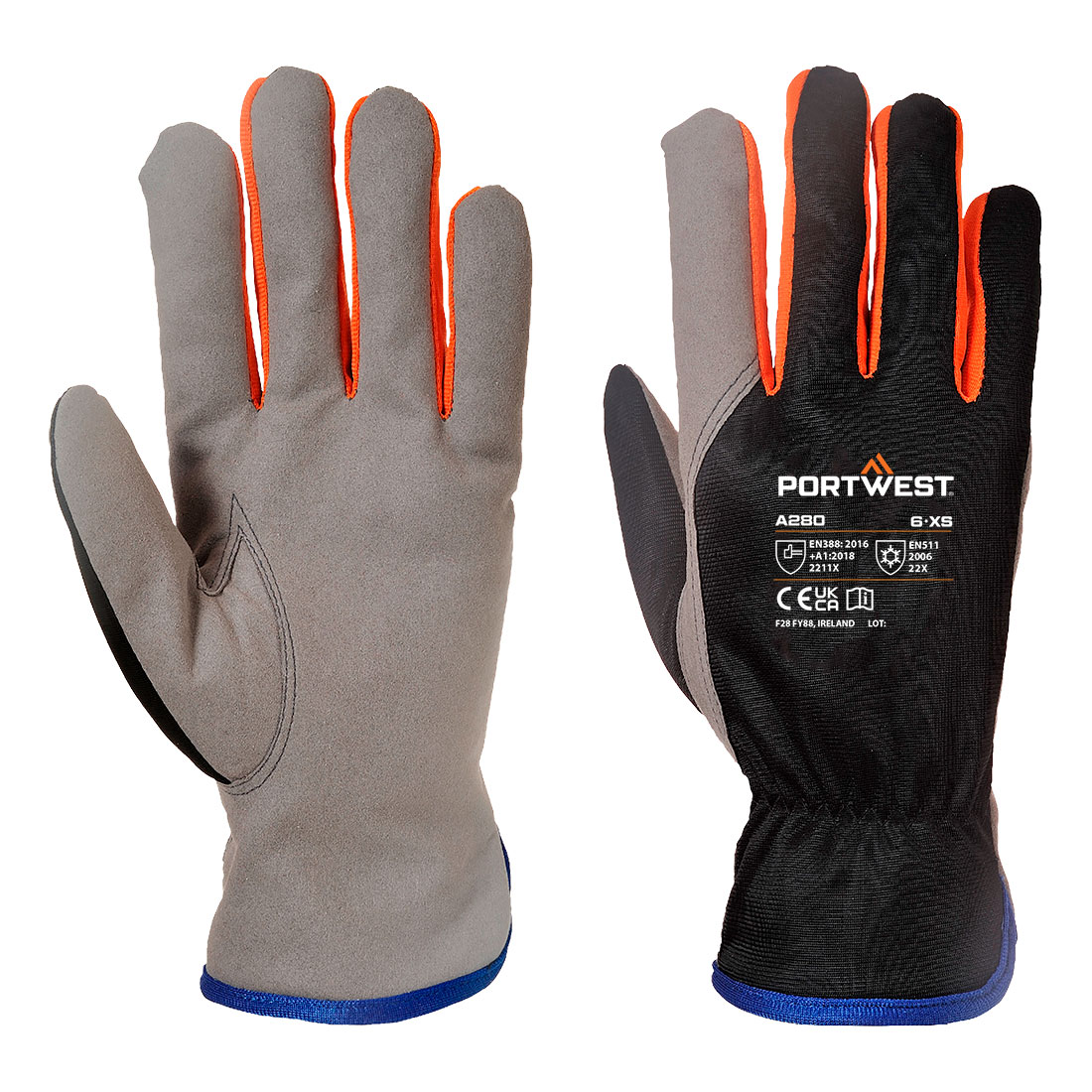Wintershield Handschuh